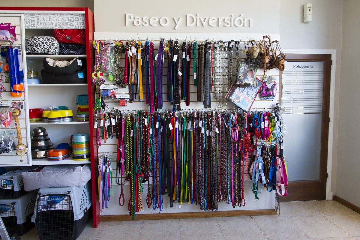 Paseo y Diversión